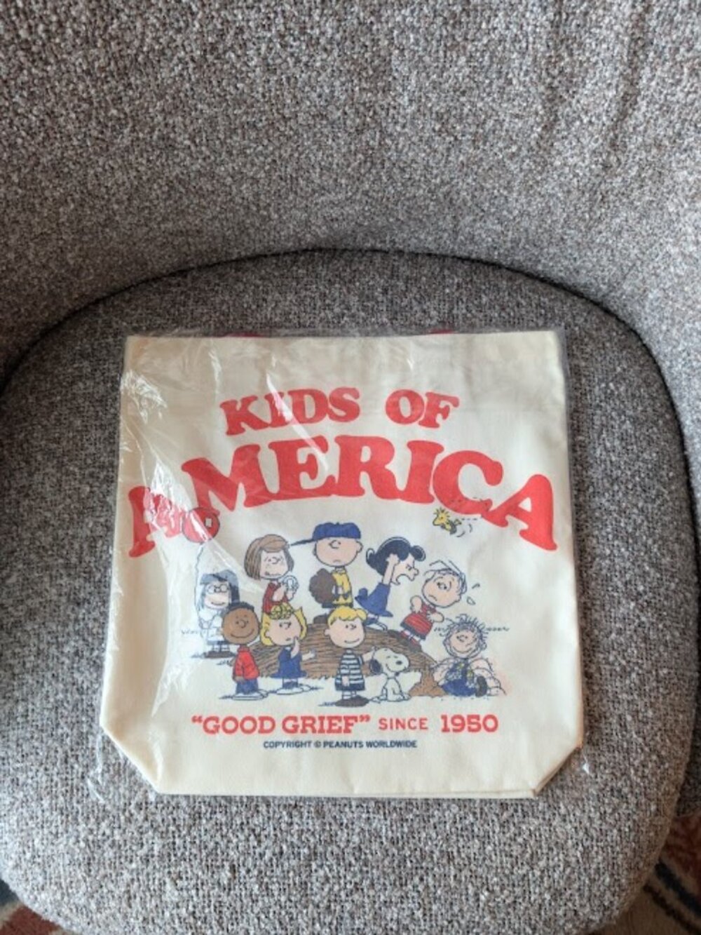 Kids Of America Peanuts Canvas Tote Bag